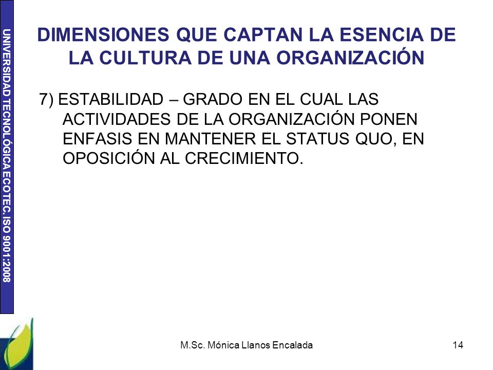 DIMENSIONES QUE CAPTAN LA ESENCIA DE LA CULTURA DE UNA ORGANIZACIÓN