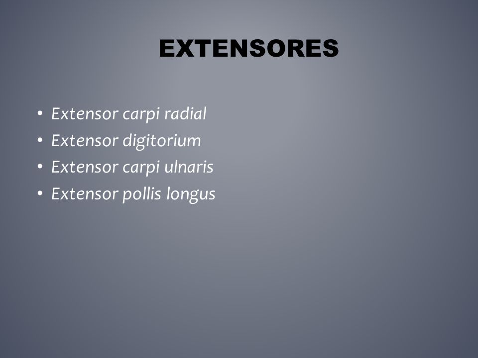 Extensores Extensor carpi radial Extensor digitorium