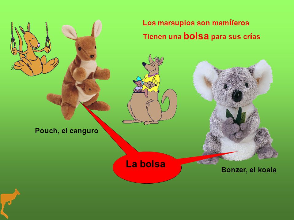 La bolsa Los marsupios son mamíferos Tienen una bolsa para sus crías