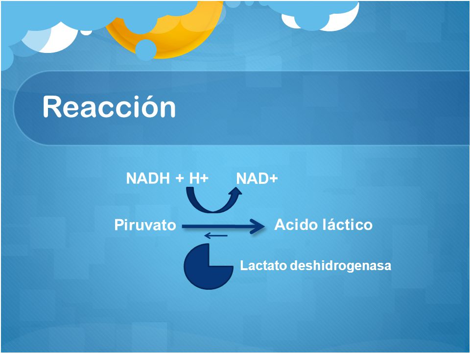 Reacción Piruvato Lactato deshidrogenasa NAD+ NADH + H+ Acido láctico