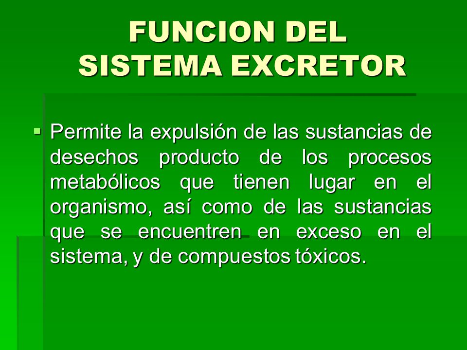 FUNCION DEL SISTEMA EXCRETOR