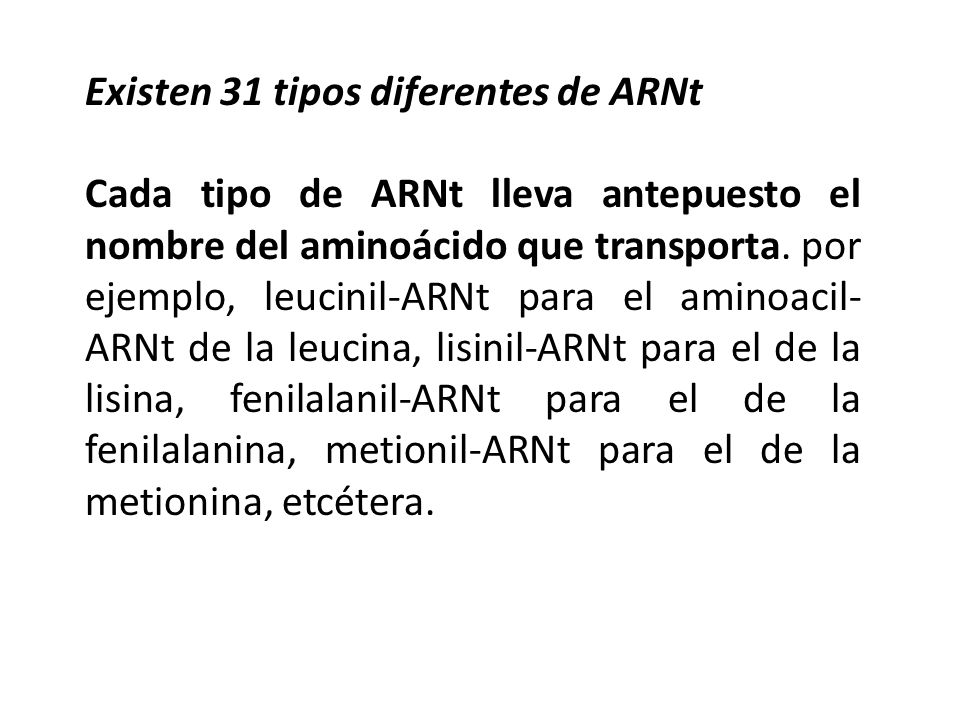 Existen 31 tipos diferentes de ARNt