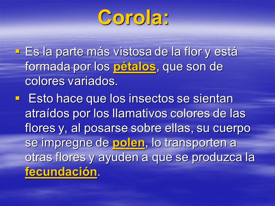 Corola: Es la parte más vistosa de la flor y está formada por los pétalos, que son de colores variados.
