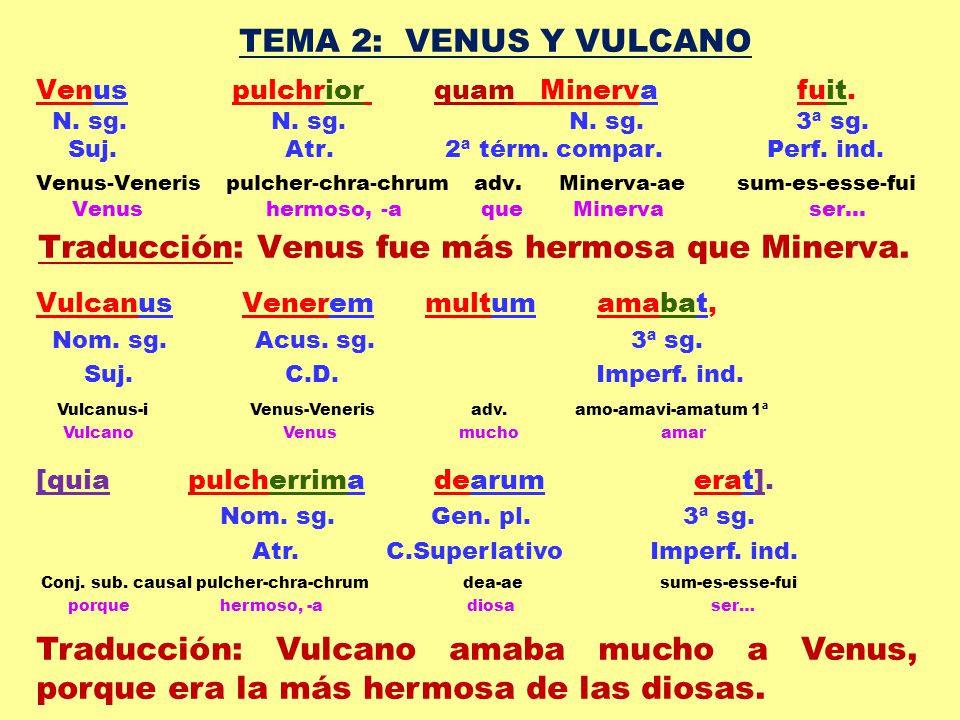 TEMA 2: VENUS Y VULCANO Traducción: Venus fue más hermosa que Minerva.