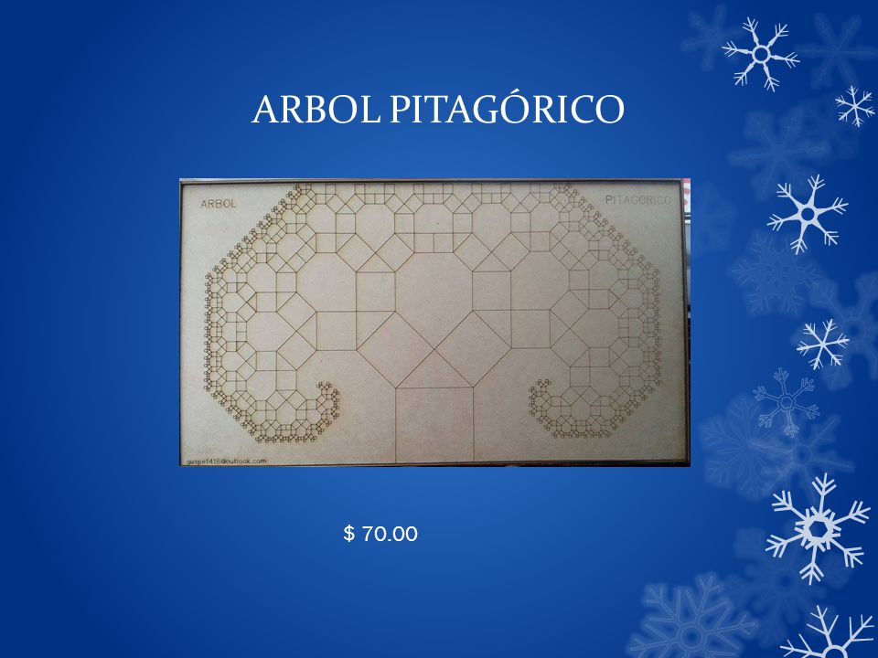 ARBOL PITAGÓRICO $ 70.00