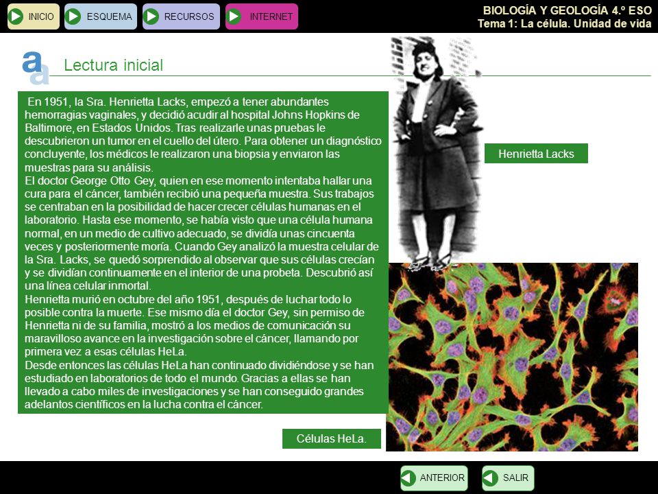 INICIO ESQUEMA. RECURSOS. INTERNET. Lectura inicial.