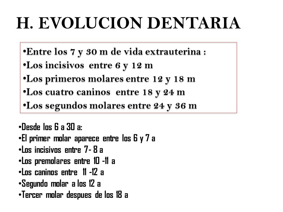 H. EVOLUCION DENTARIA Entre los 7 y 30 m de vida extrauterina :
