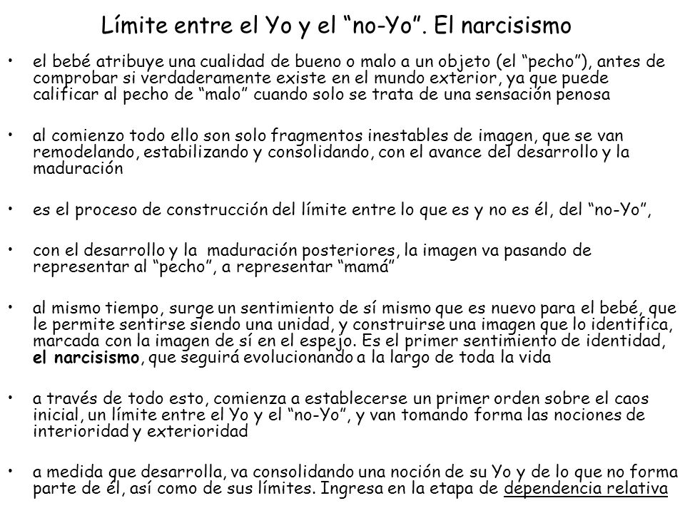 Límite entre el Yo y el no-Yo . El narcisismo