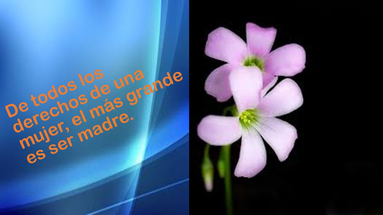 De todos los derechos de una mujer, el más grande es ser madre.