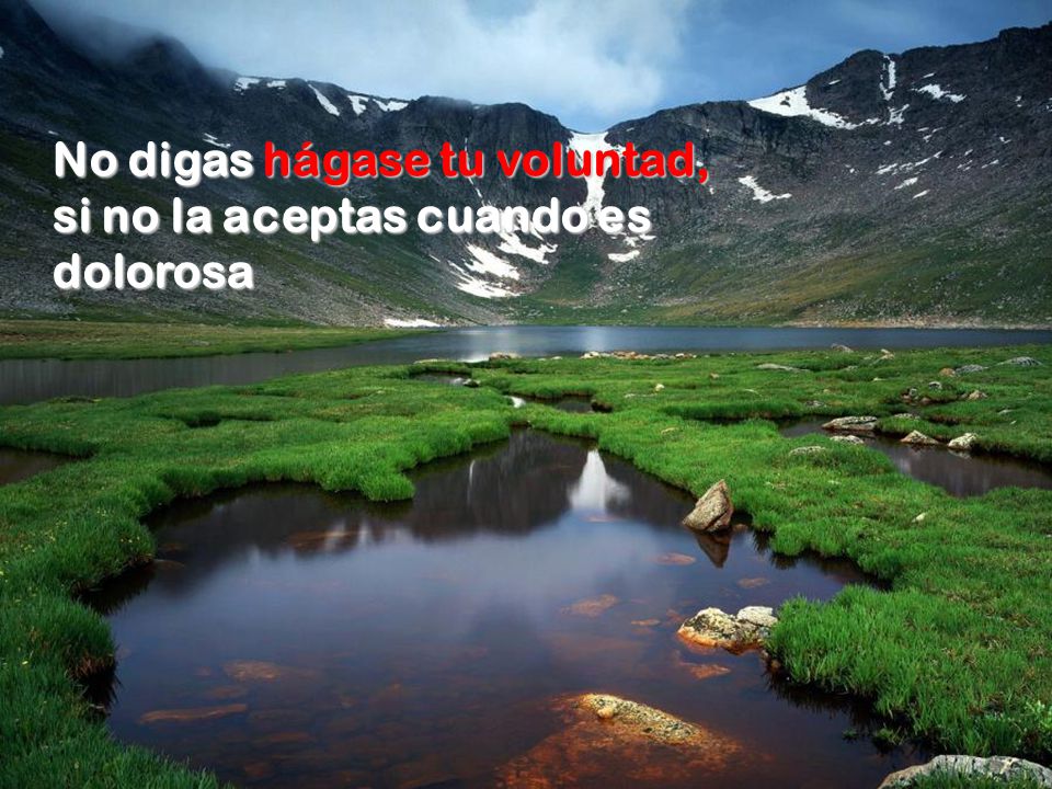 No digas hágase tu voluntad, si no la aceptas cuando es dolorosa