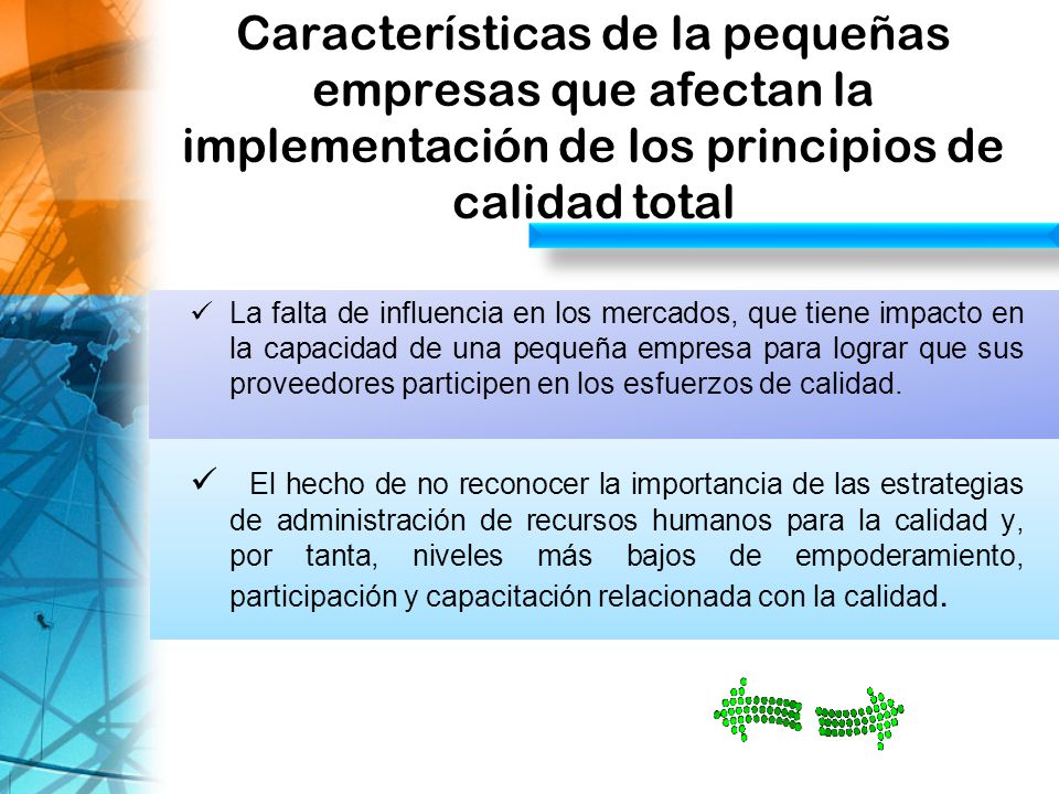Características de la pequeñas empresas que afectan la implementación de los principios de calidad total