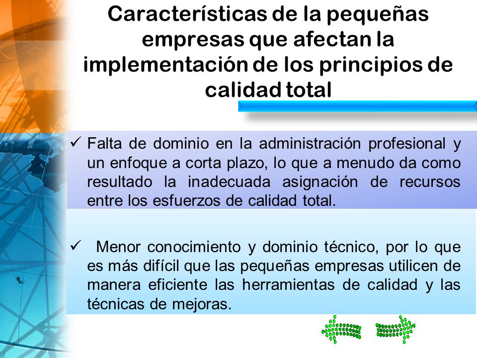 Características de la pequeñas empresas que afectan la implementación de los principios de calidad total