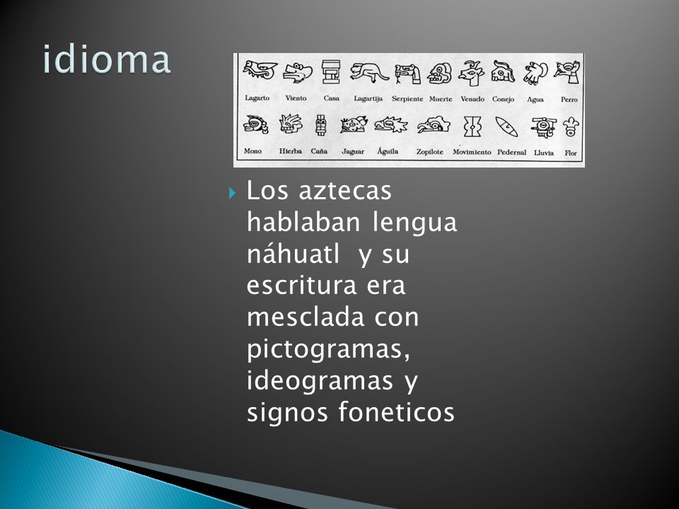 idioma Los aztecas hablaban lengua náhuatl y su escritura era mesclada con pictogramas, ideogramas y signos foneticos.