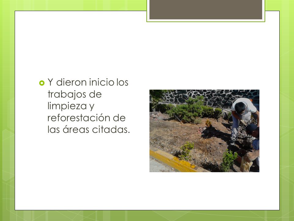 Y dieron inicio los trabajos de limpieza y reforestación de las áreas citadas.