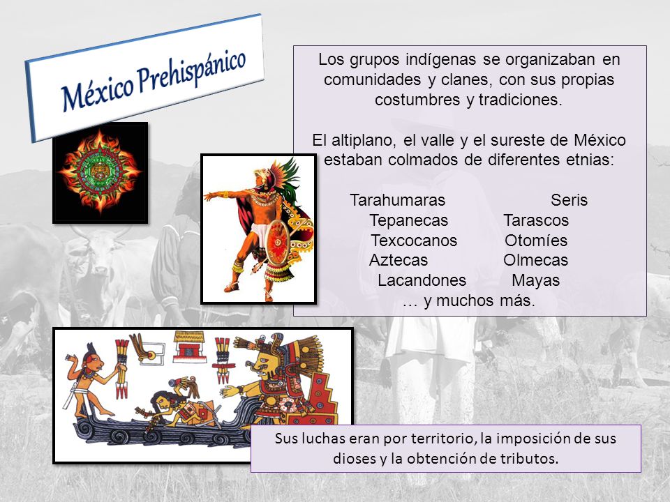 México Prehispánico Los grupos indígenas se organizaban en comunidades y clanes, con sus propias costumbres y tradiciones.