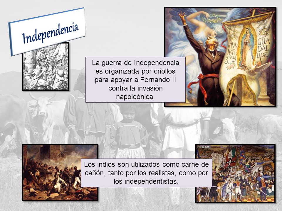Independencia La guerra de Independencia es organizada por criollos para apoyar a Fernando II contra la invasión napoleónica.