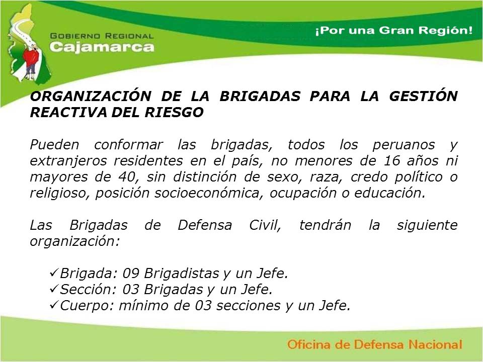 ORGANIZACIÓN DE LA BRIGADAS PARA LA GESTIÓN REACTIVA DEL RIESGO