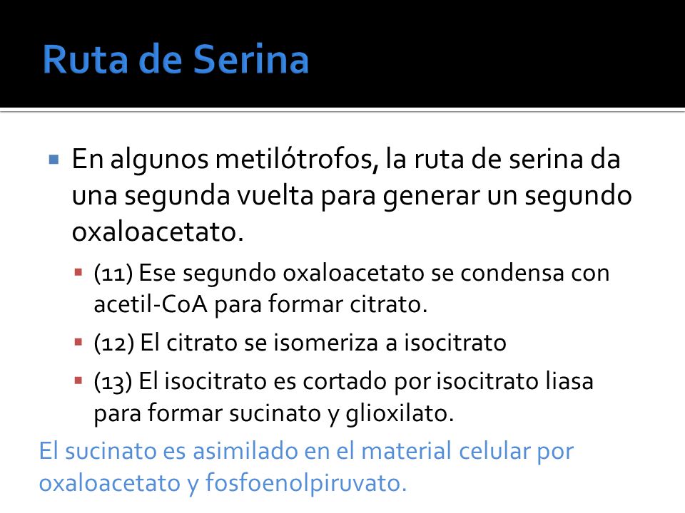 Ruta de Serina En algunos metilótrofos, la ruta de serina da una segunda vuelta para generar un segundo oxaloacetato.