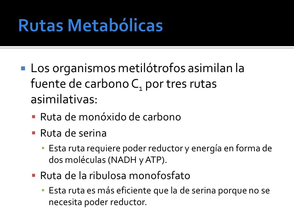 Rutas Metabólicas Los organismos metilótrofos asimilan la fuente de carbono C1 por tres rutas asimilativas: