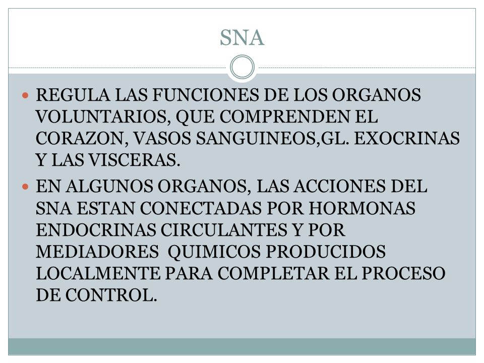 SNA REGULA LAS FUNCIONES DE LOS ORGANOS VOLUNTARIOS, QUE COMPRENDEN EL CORAZON, VASOS SANGUINEOS,GL. EXOCRINAS Y LAS VISCERAS.