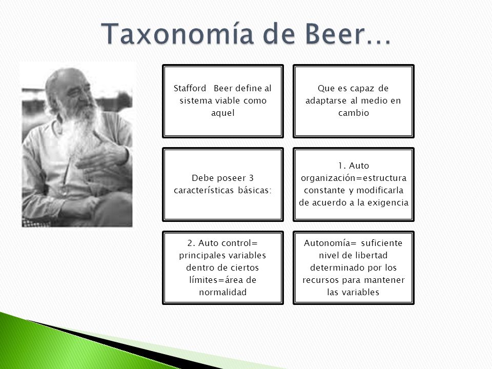 Taxonomía de Beer… Stafford Beer define al sistema viable como aquel