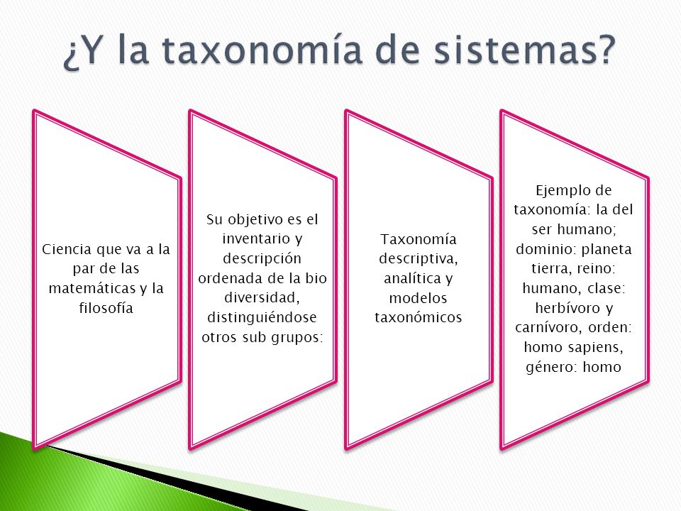 Resultado de imagen para TAXONOMIA DE SISTEMAS
