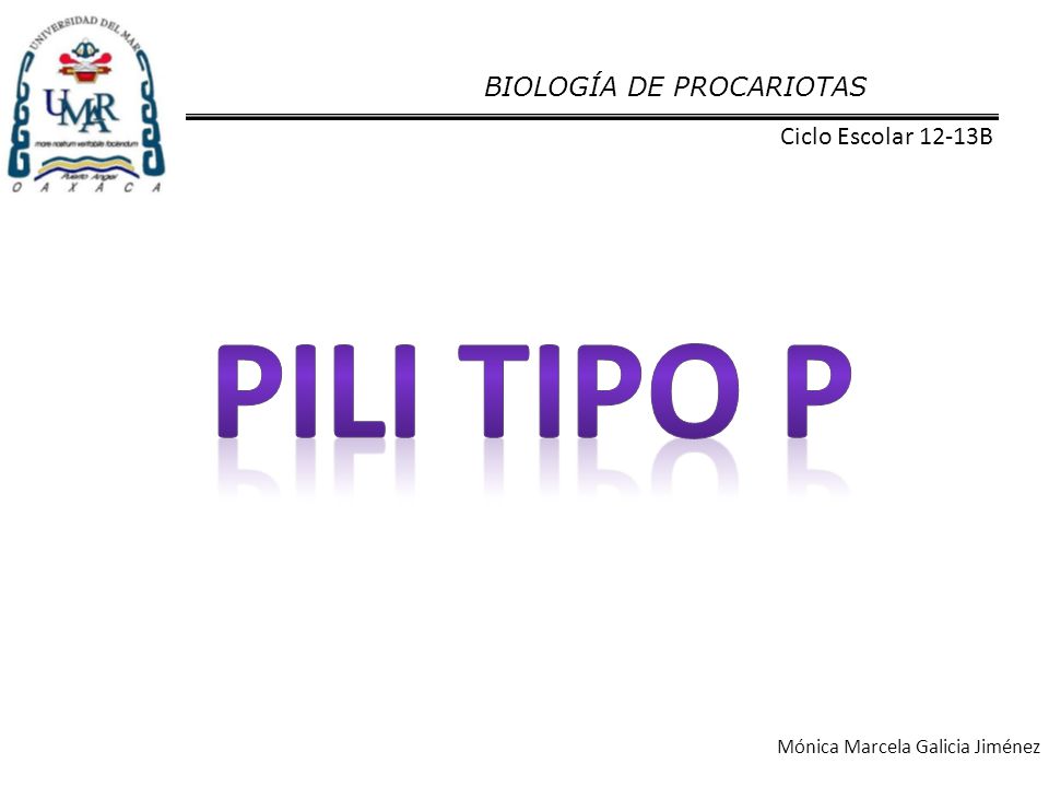 Pili tipo p BIOLOGÍA DE PROCARIOTAS Ciclo Escolar 12-13B