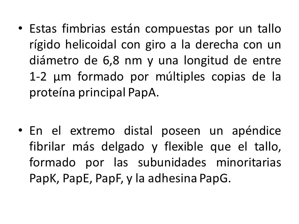 Estas fimbrias están compuestas por un tallo rígido helicoidal con giro a la derecha con un diámetro de 6,8 nm y una longitud de entre 1-2 μm formado por múltiples copias de la proteína principal PapA.