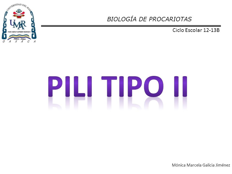 Pili tipo ii BIOLOGÍA DE PROCARIOTAS Ciclo Escolar 12-13B