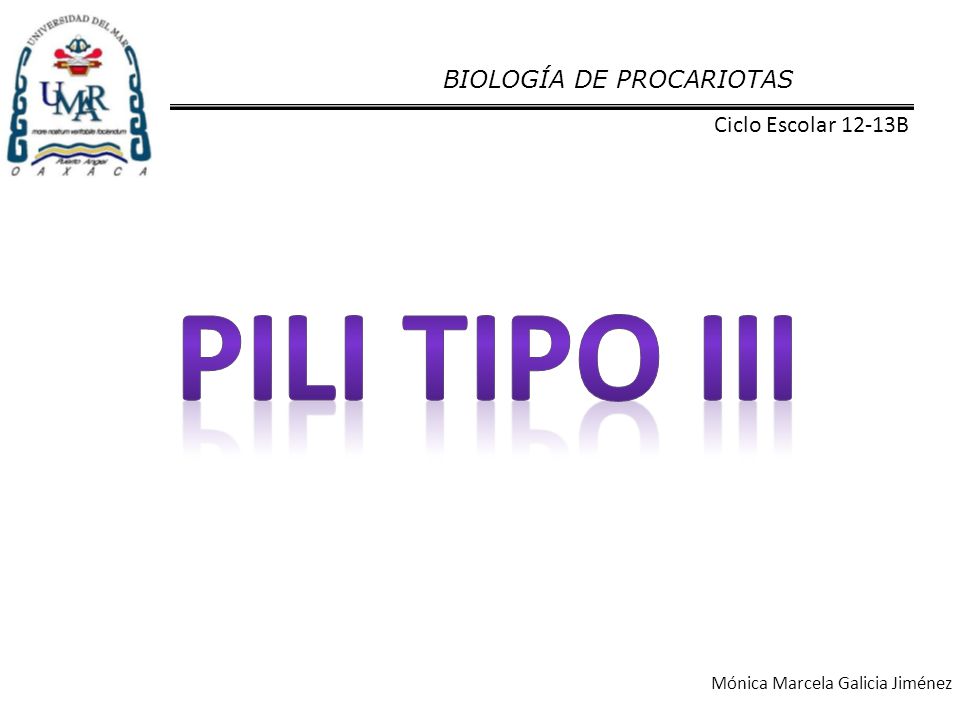 Pili tipo iii BIOLOGÍA DE PROCARIOTAS Ciclo Escolar 12-13B