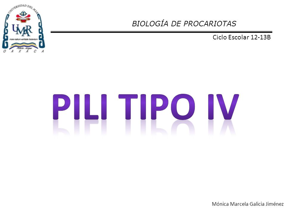 Pili tipo iv BIOLOGÍA DE PROCARIOTAS Ciclo Escolar 12-13B
