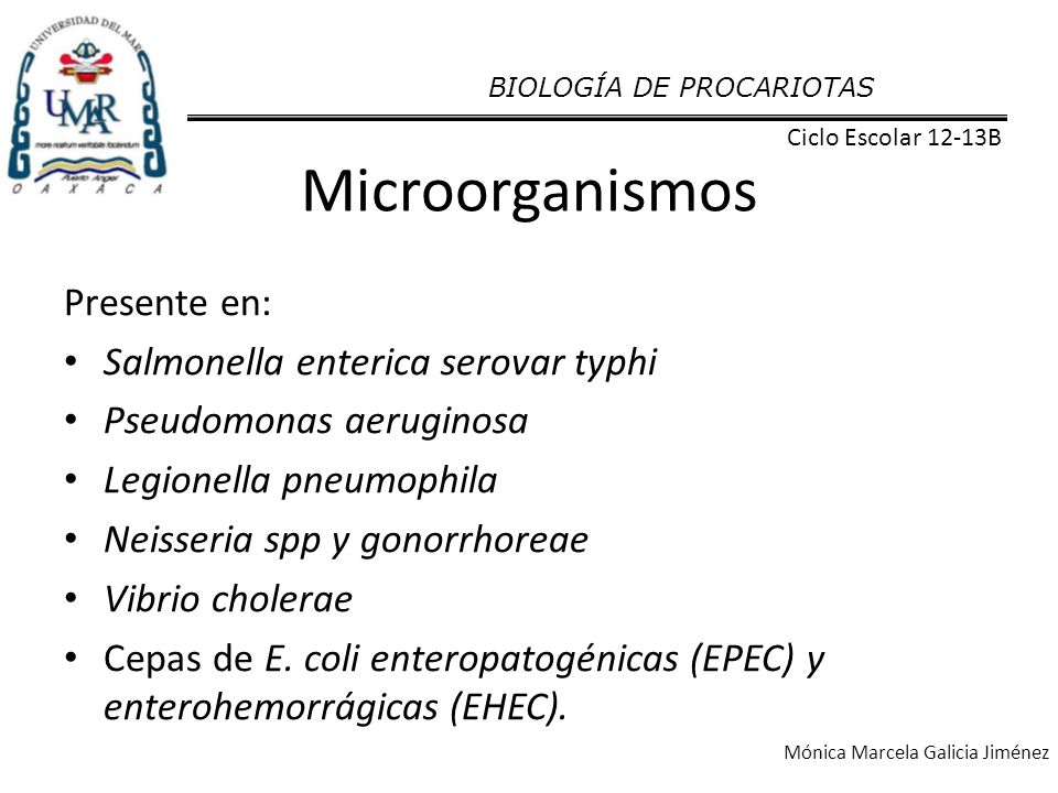 Microorganismos Presente en: Salmonella enterica serovar typhi