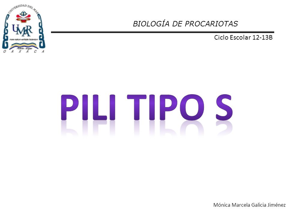 Pili tipo s BIOLOGÍA DE PROCARIOTAS Ciclo Escolar 12-13B