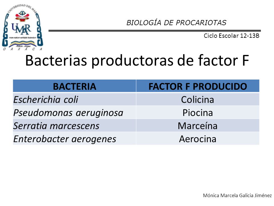 Bacterias productoras de factor F