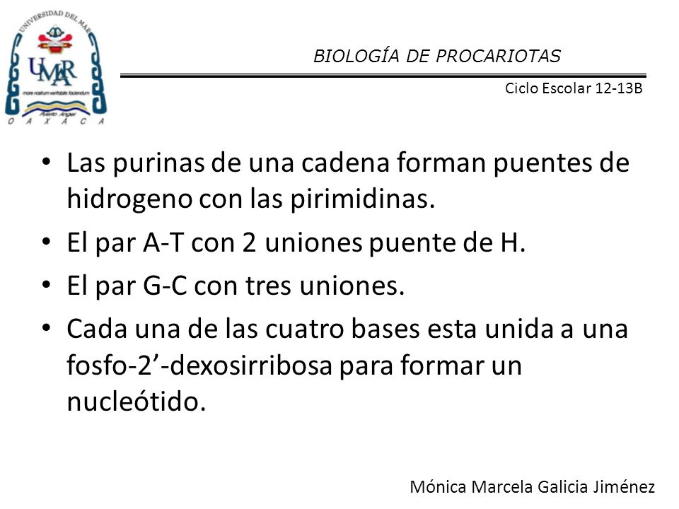 El par A-T con 2 uniones puente de H. El par G-C con tres uniones.