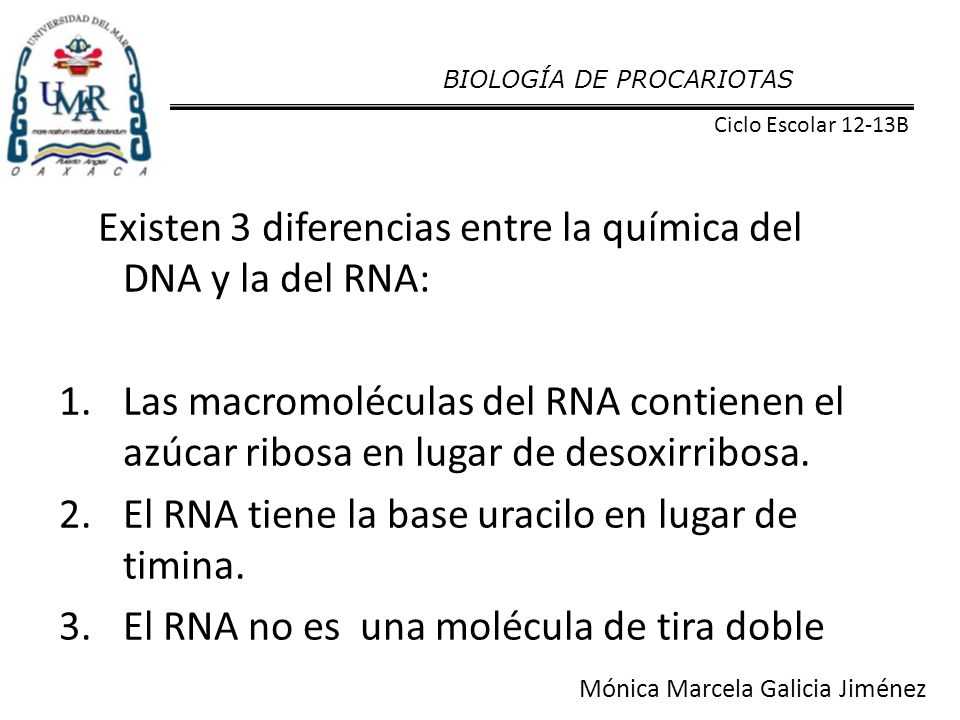 Existen 3 diferencias entre la química del DNA y la del RNA: