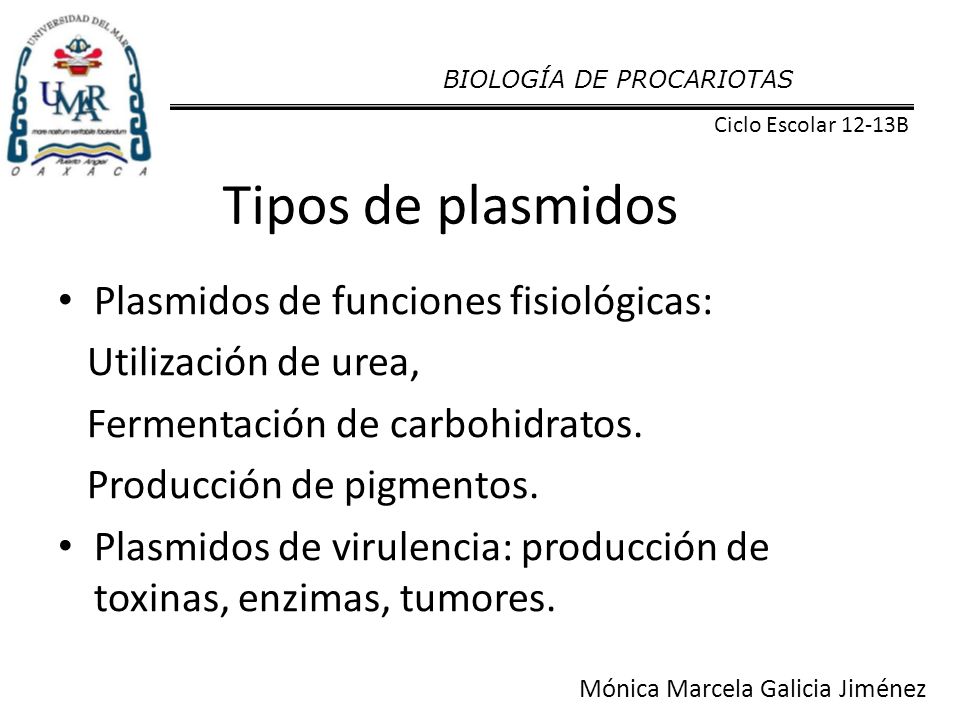 Tipos de plasmidos Plasmidos de funciones fisiológicas: