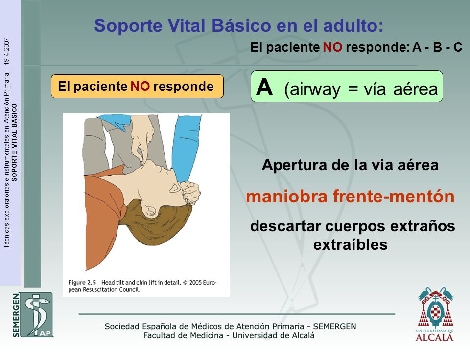 A (airway = vía aérea Soporte Vital Básico en el adulto: