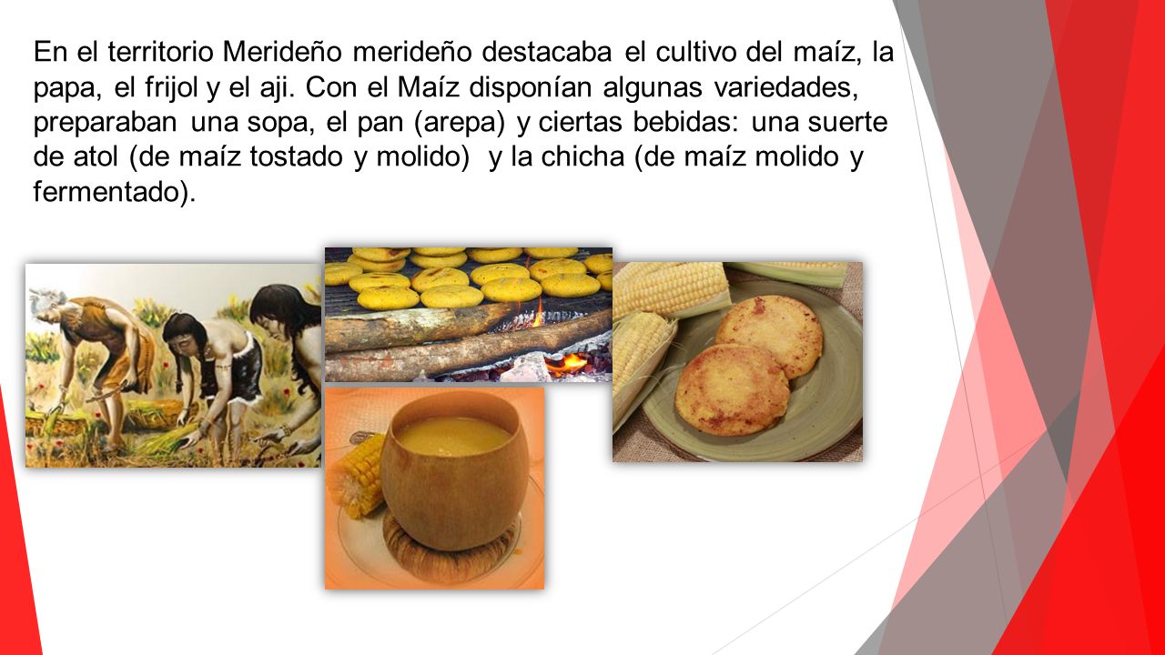 En el territorio Merideño merideño destacaba el cultivo del maíz, la papa, el frijol y el aji.