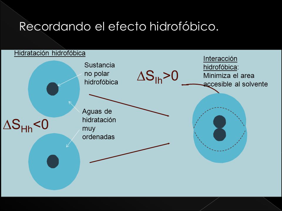 DSIh>0 DSHh<0 Recordando el efecto hidrofóbico.