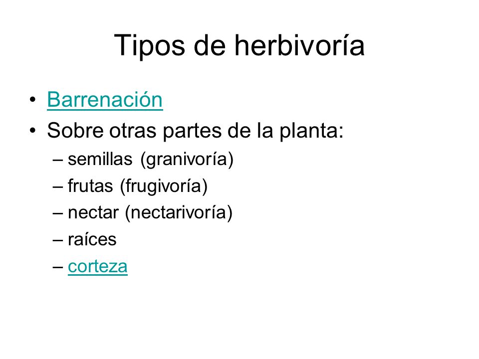 Tipos de herbivoría Barrenación Sobre otras partes de la planta: