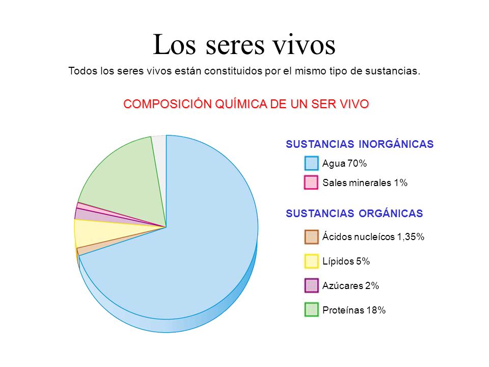 Los seres vivos COMPOSICIÓN QUÍMICA DE UN SER VIVO