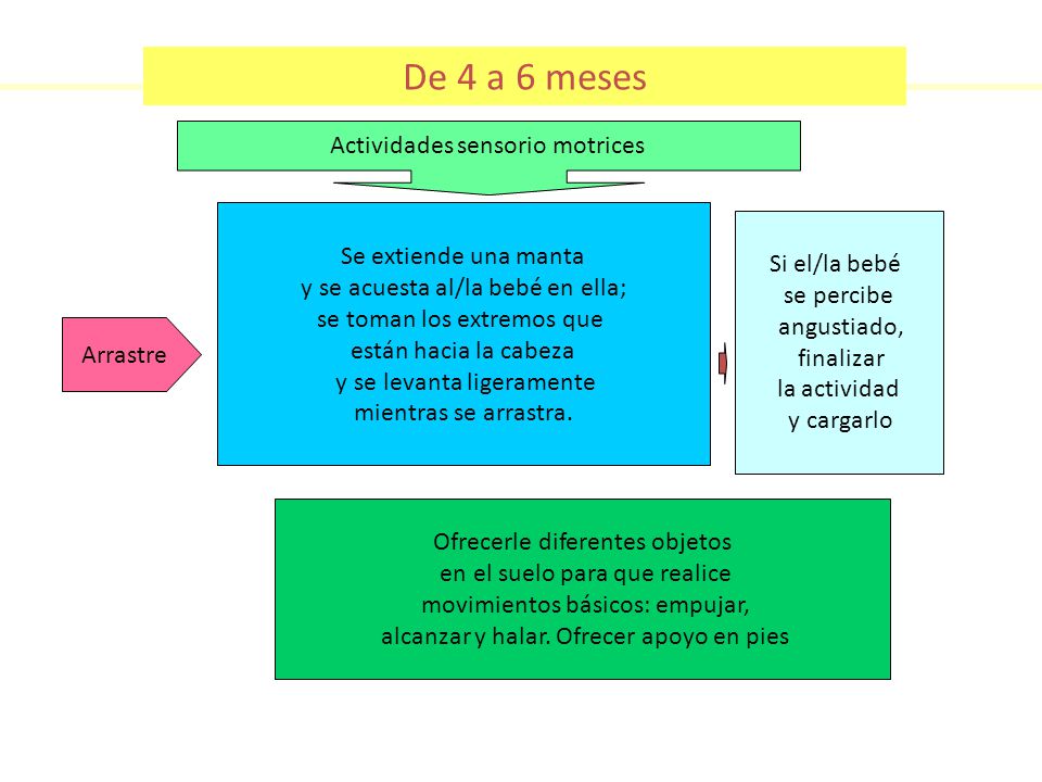 De 4 a 6 meses Actividades sensorio motrices Se extiende una manta