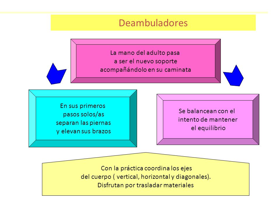 Deambuladores La mano del adulto pasa a ser el nuevo soporte