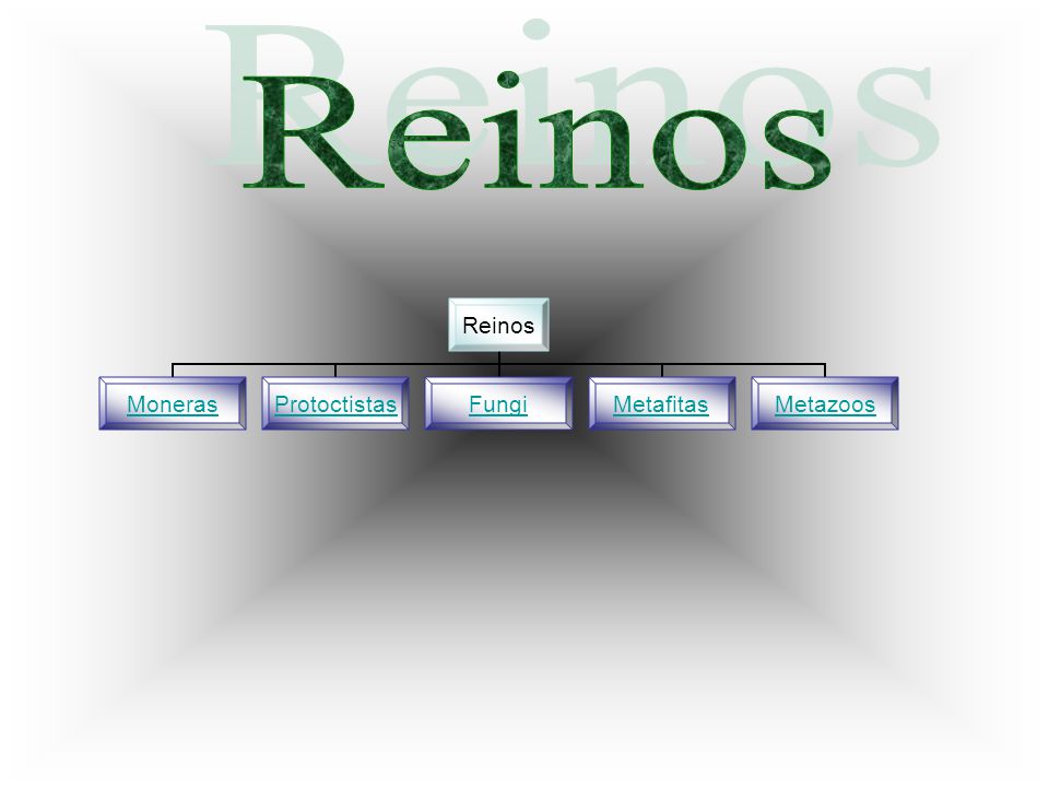 Reinos