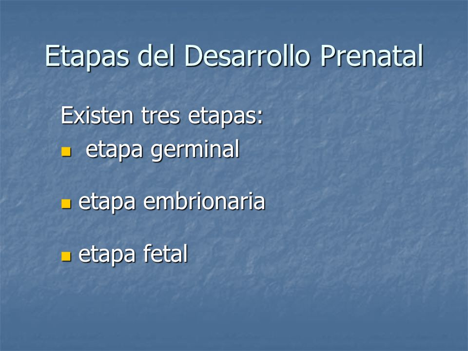 Etapas del Desarrollo Prenatal