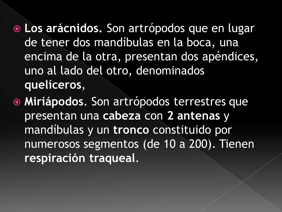 Los arácnidos. Son artrópodos que en lugar de tener dos mandíbulas en la boca, una encima de la otra, presentan dos apéndices, uno al lado del otro, denominados quelíceros,