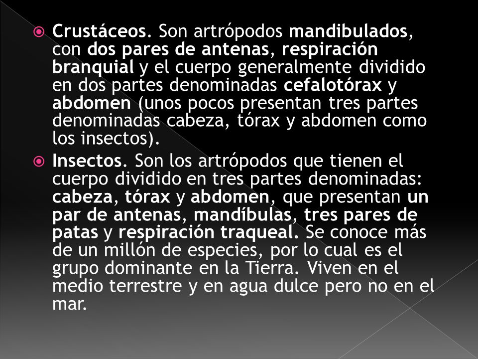 Crustáceos. Son artrópodos mandibulados, con dos pares de antenas, respiración branquial y el cuerpo generalmente dividido en dos partes denominadas cefalotórax y abdomen (unos pocos presentan tres partes denominadas cabeza, tórax y abdomen como los insectos).