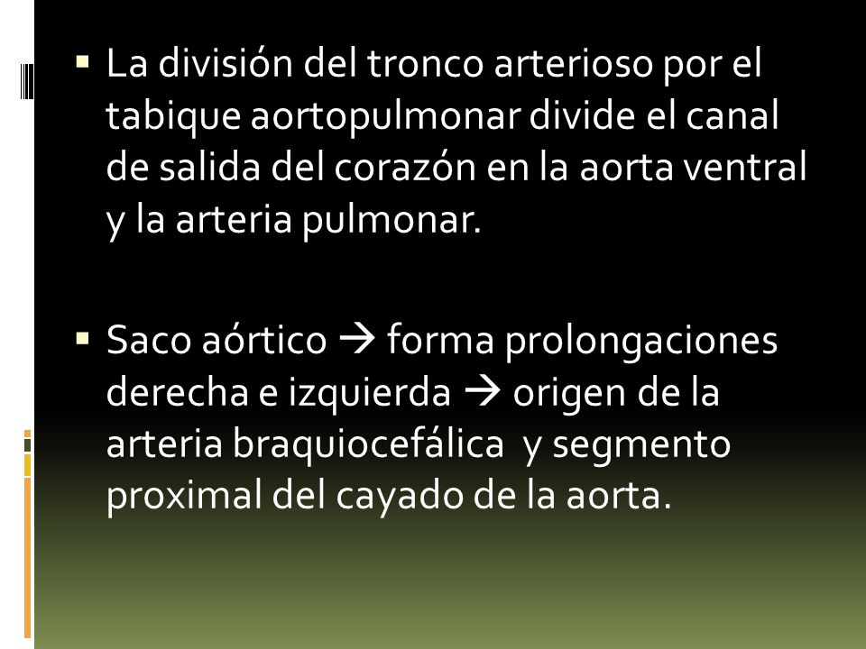 La división del tronco arterioso por el tabique aortopulmonar divide el canal de salida del corazón en la aorta ventral y la arteria pulmonar.