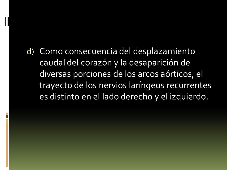 Como consecuencia del desplazamiento caudal del corazón y la desaparición de diversas porciones de los arcos aórticos, el trayecto de los nervios laríngeos recurrentes es distinto en el lado derecho y el izquierdo.